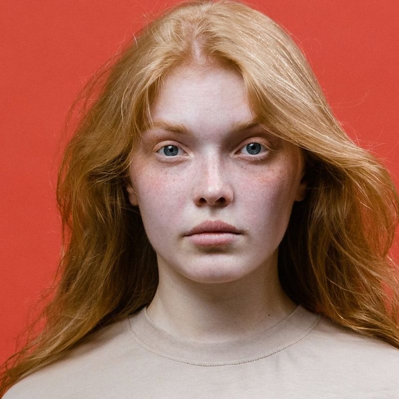 Ad Rocket Website Builder