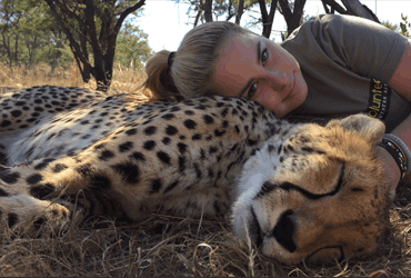 AdRocket Website Builder