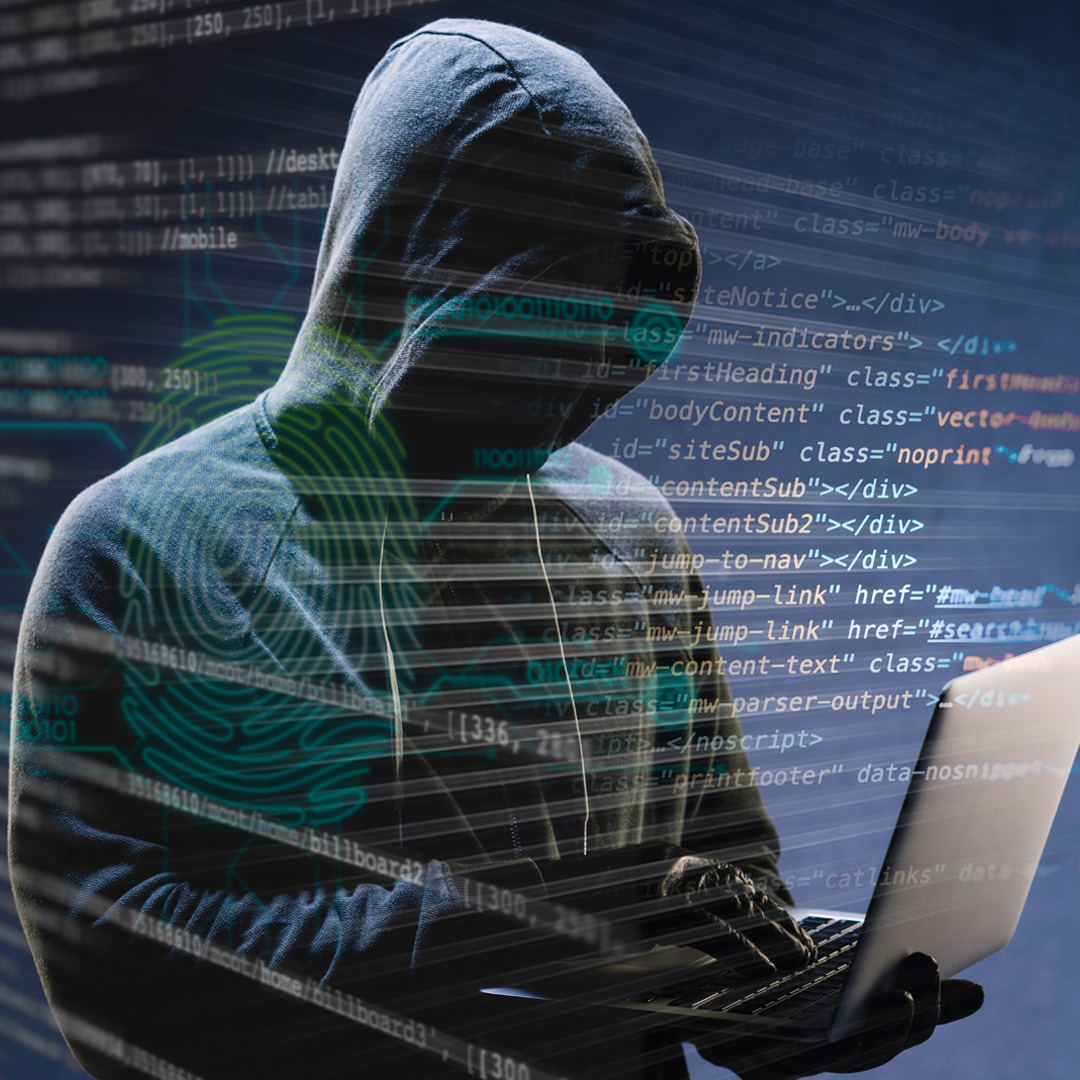 Ataques cibernéticos.